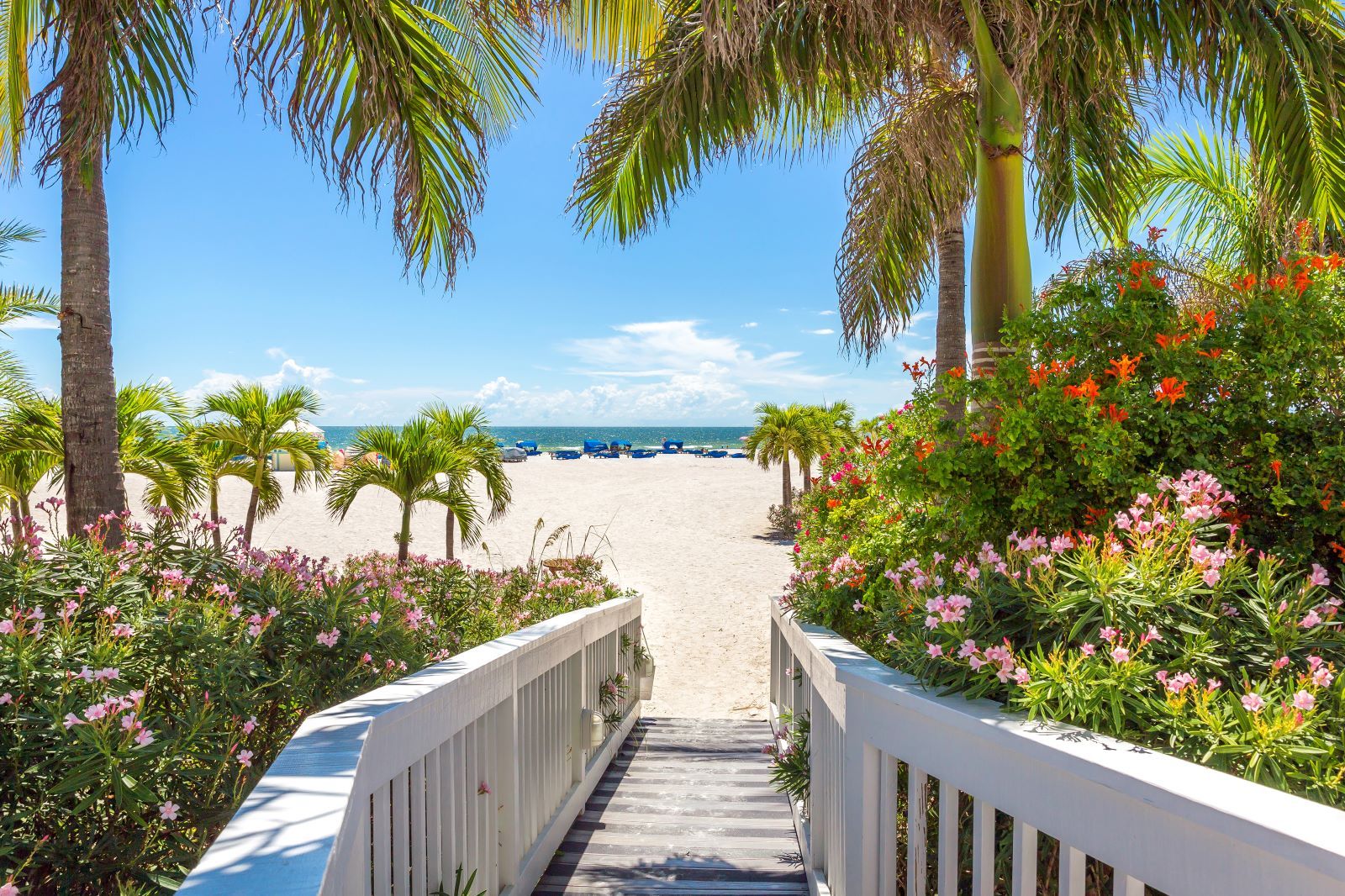 beach with walkway and palm tress