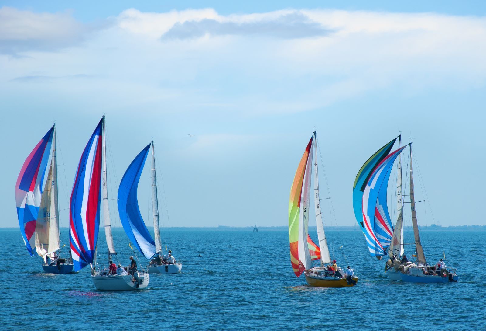 sail boats