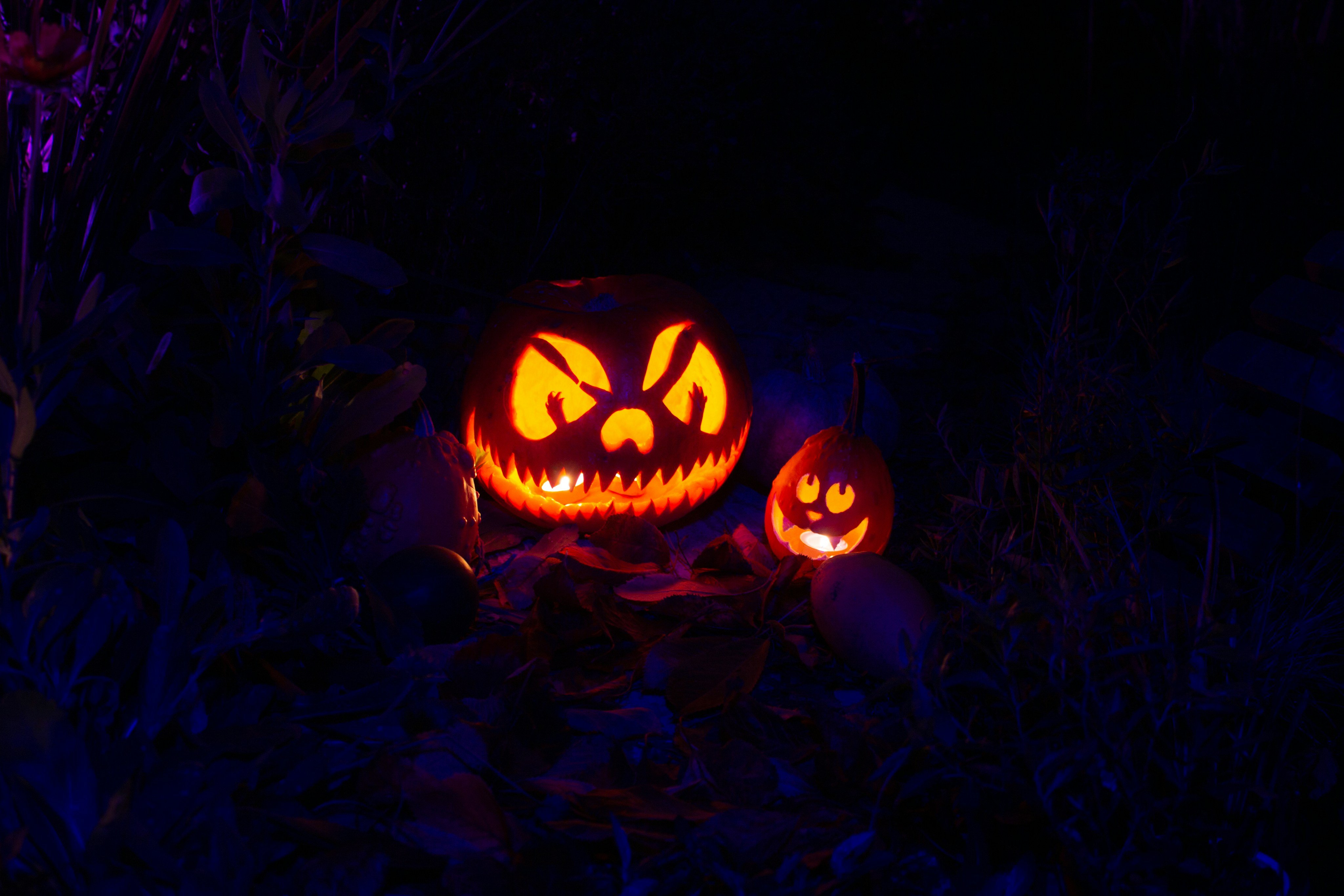 Two glowing jack-o'-lanterns lit up in the dark