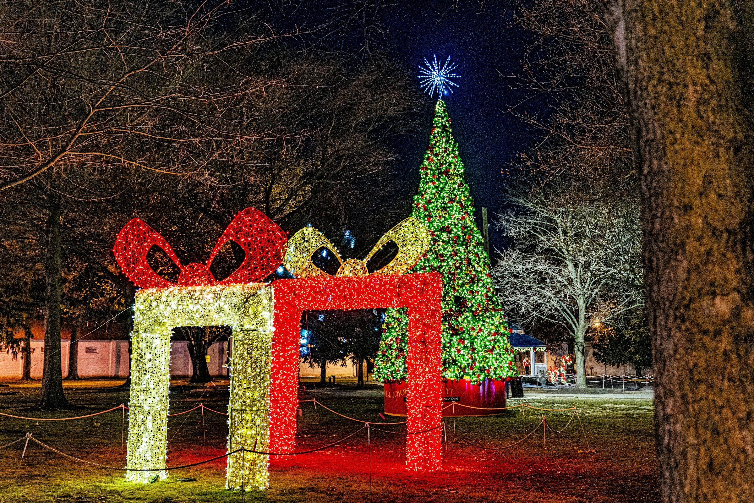 Large Christmas light display with a gift box sculpture and illuminated tree at night