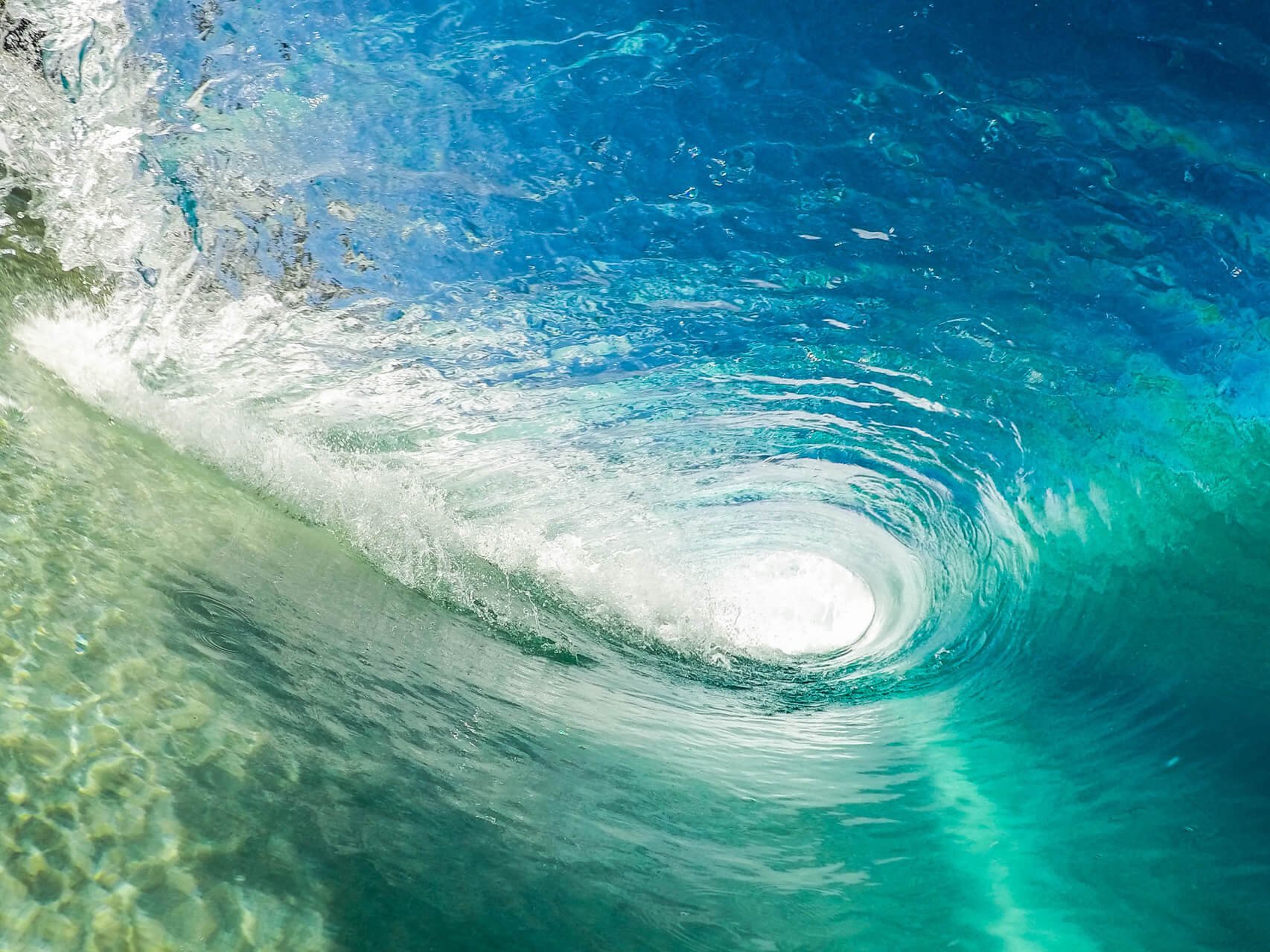 They Will Surf Again