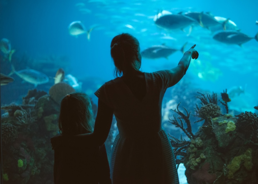 Family looking at fish in an aqaurium