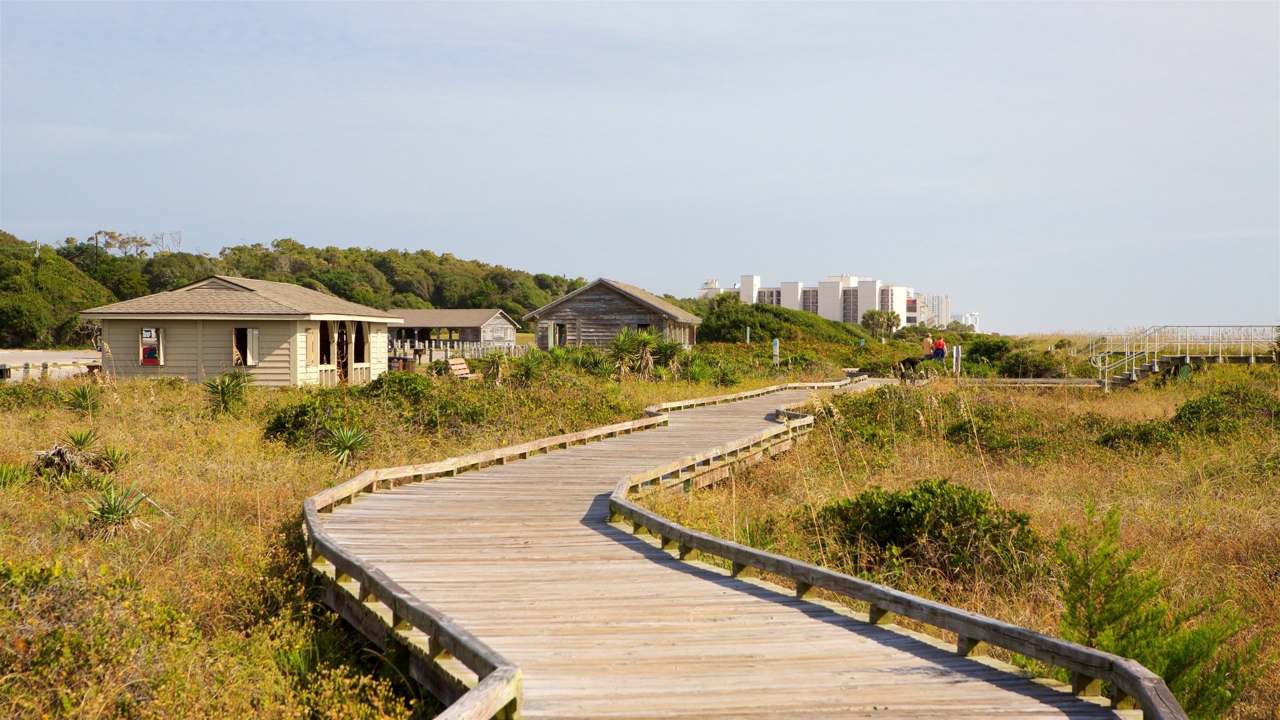 Winding boardwalk path through sea grass at Myrtle Beach State Park