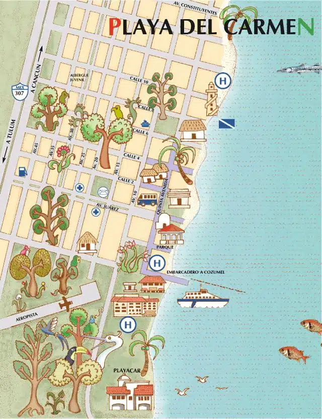 Mapa de Playa del Carmen y la Quinta Avenida