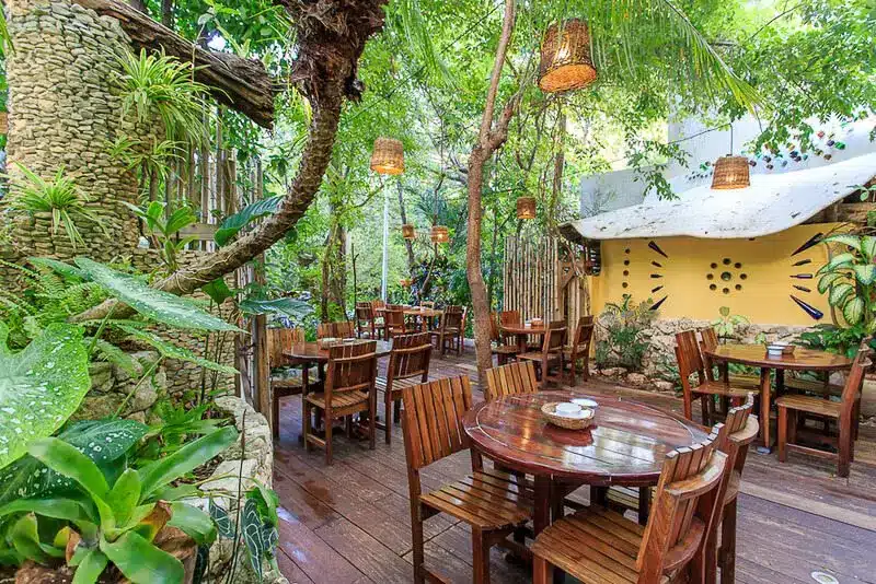 Qué hacer en Playa del Carmen si hay sargazo