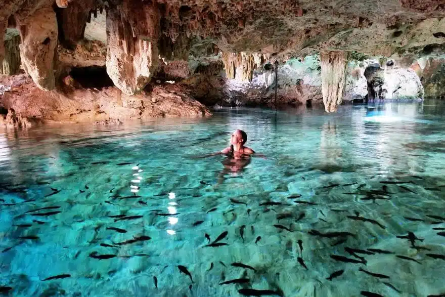las cosas más increíbles que hacer en playa del carmen