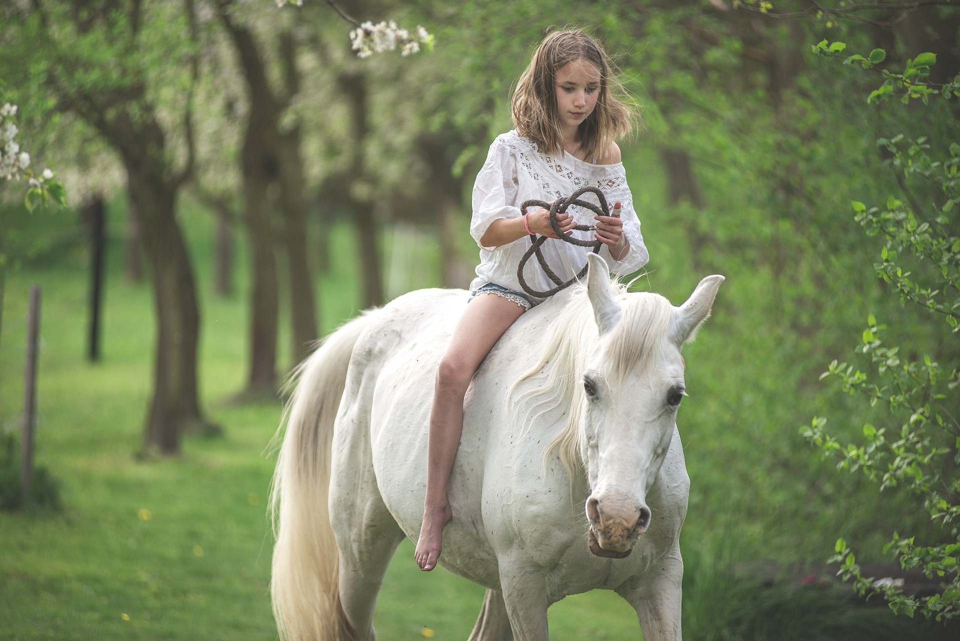 Enjoy horseback riding at Dripping Springs Ranch Park