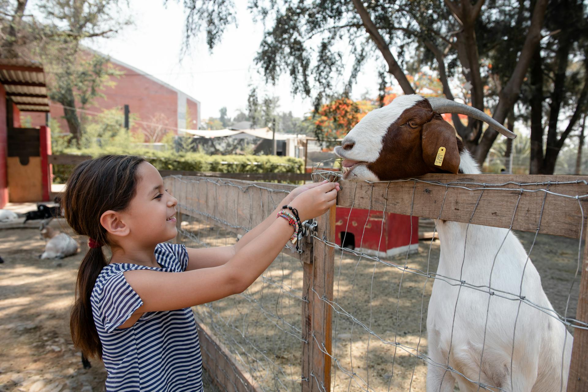 Where to Take Family Holiday Photos in Austin