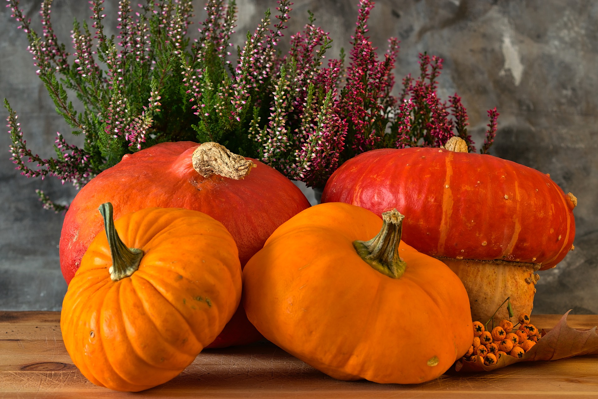 Enjoy fun activities on your Dripping Springs Halloween vacation