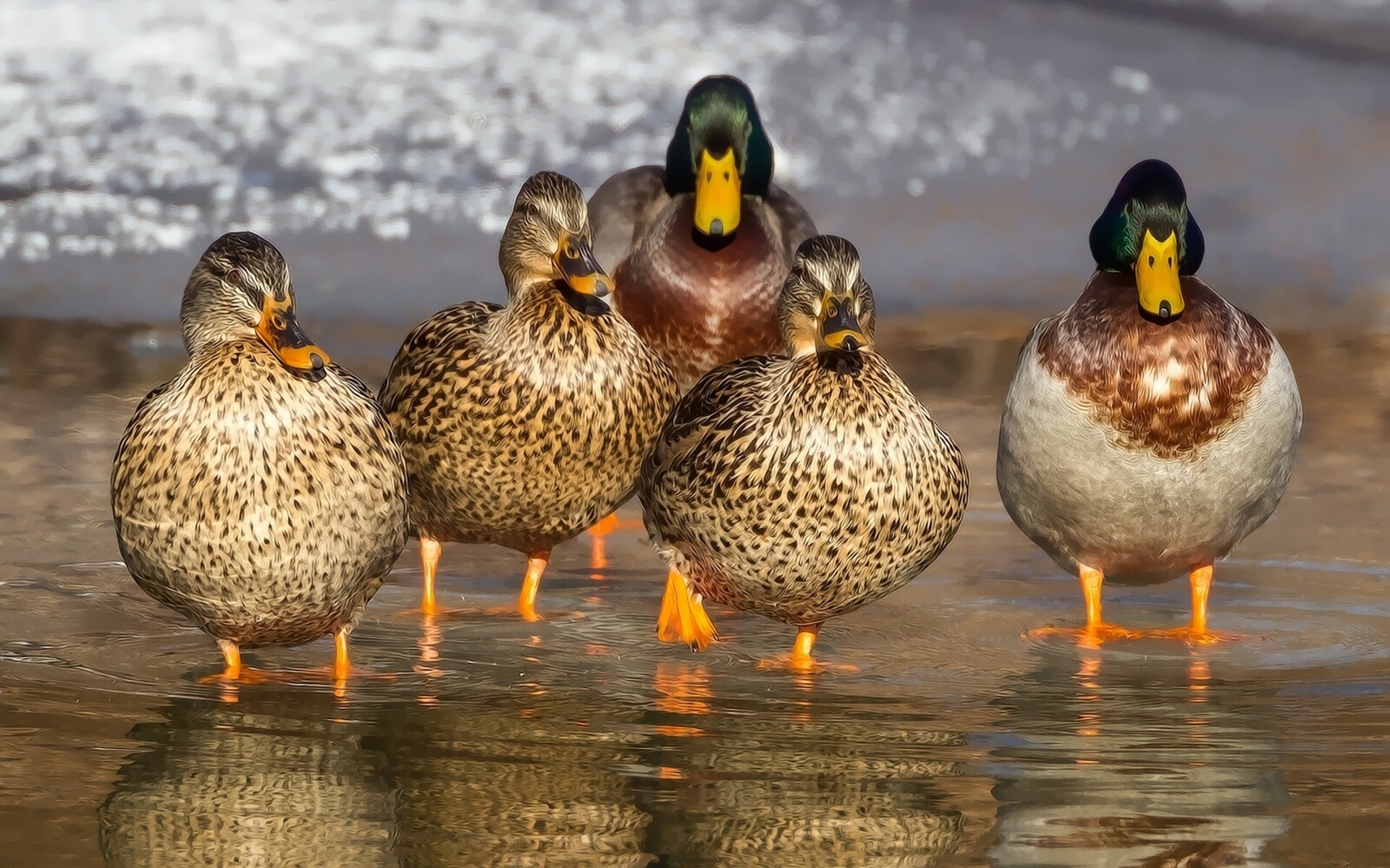 See the wildlife and more on your list of Family Things to Do in Austin