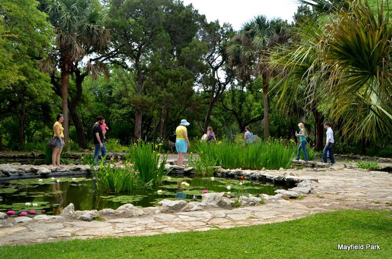 People walking around and enjoying Mayfield Park.