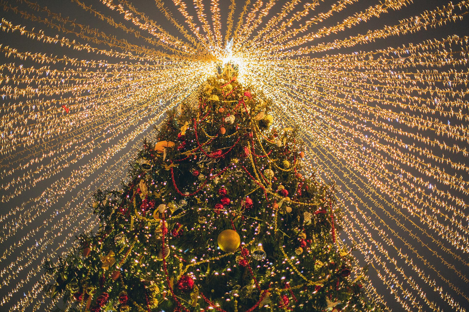 Where to See Christmas Lights in Austin