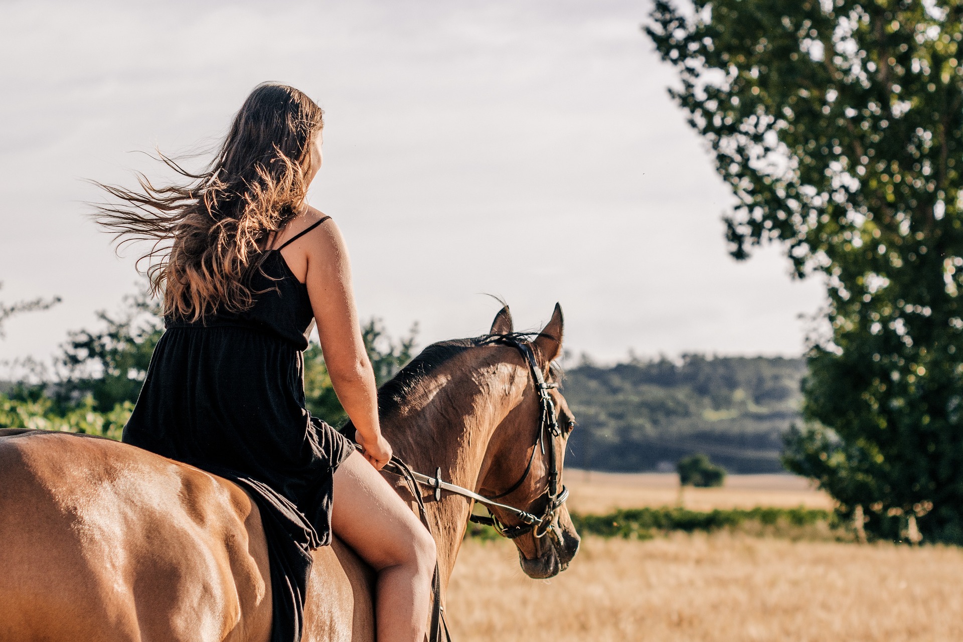Enjoy Dripping Springs Horseback Riding