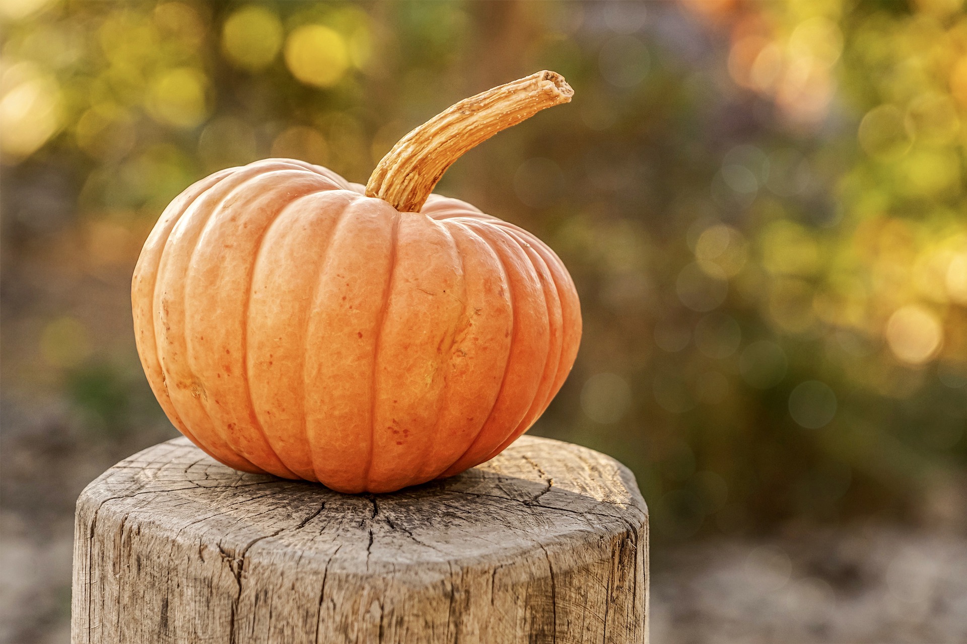 Enjoy fall events in Austin