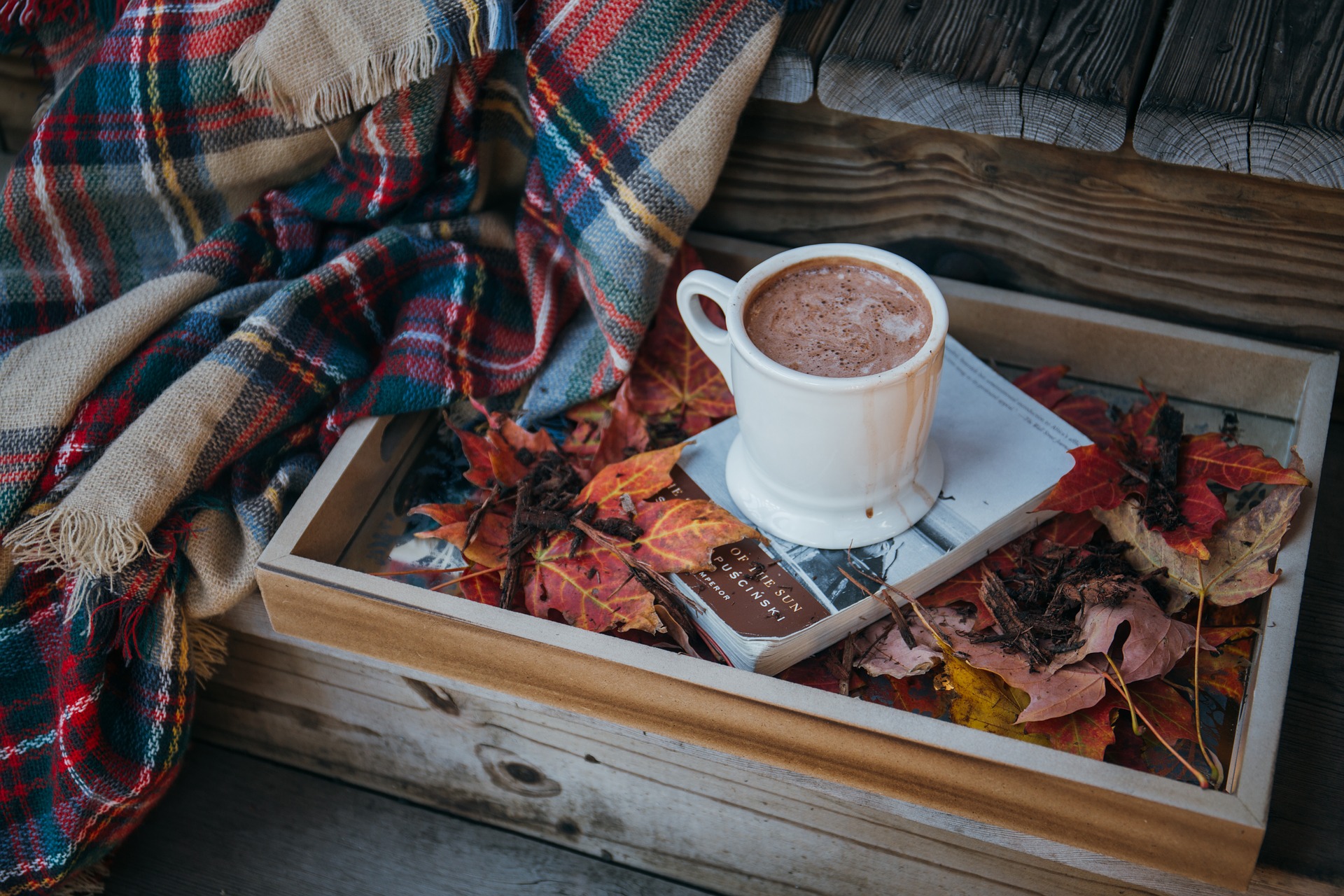 Winter activities in Austin