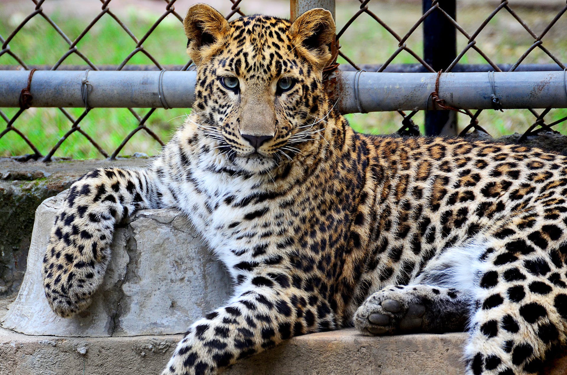 Guide To Visiting The Austin Zoo