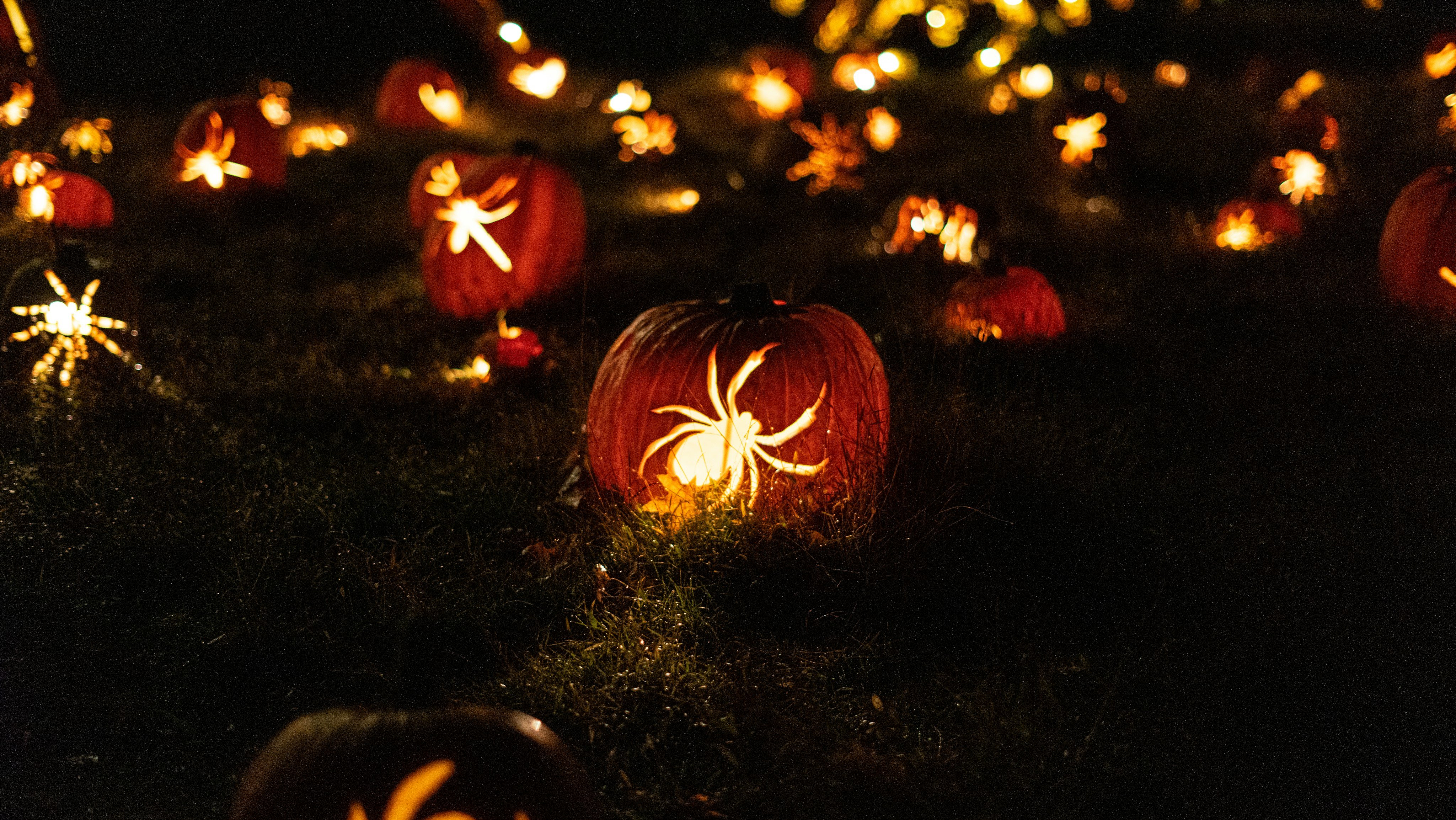 Halloween jack-o'-lanterns glowing in the dark