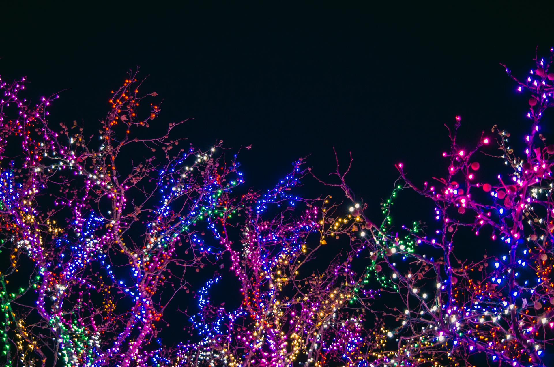 Where to See Christmas Lights in Austin