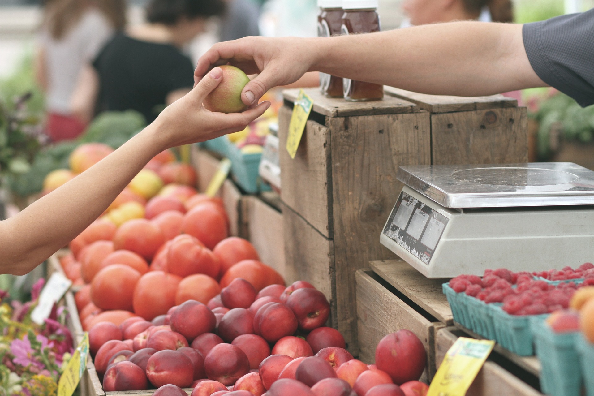 Enjoy the Dripping Springs Farmers Market