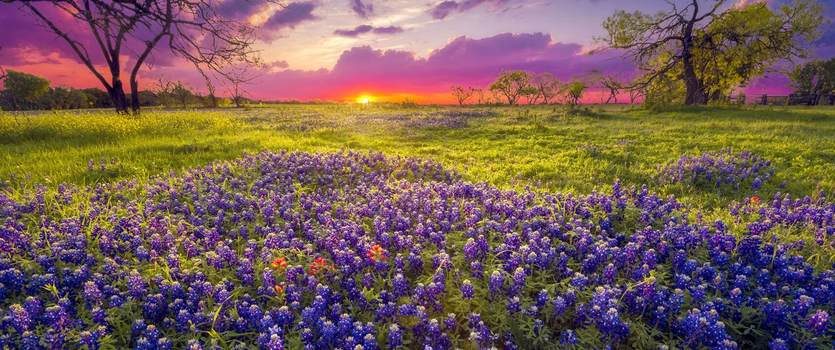 Dripping Springs Vacation Rentals