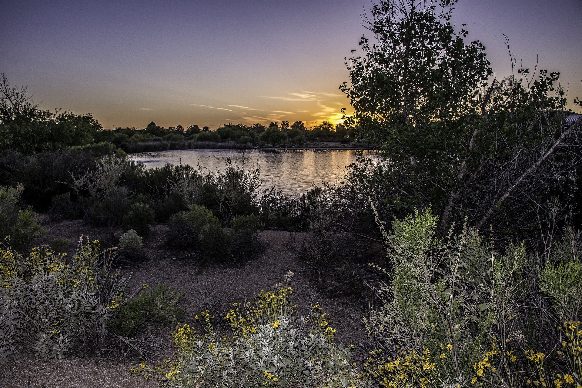 Great view on a hike near Scottsdale in winter.