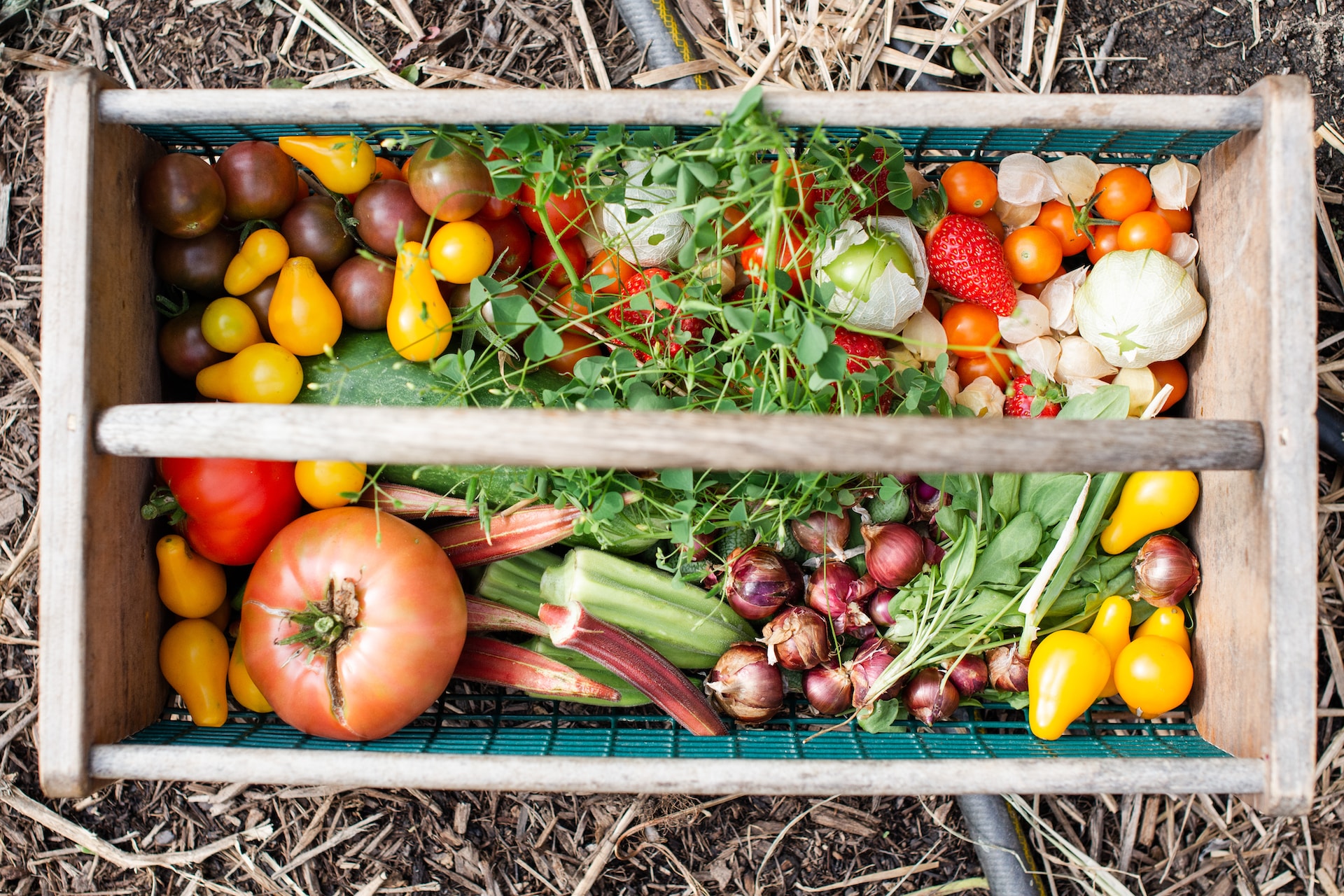 a basket of produce