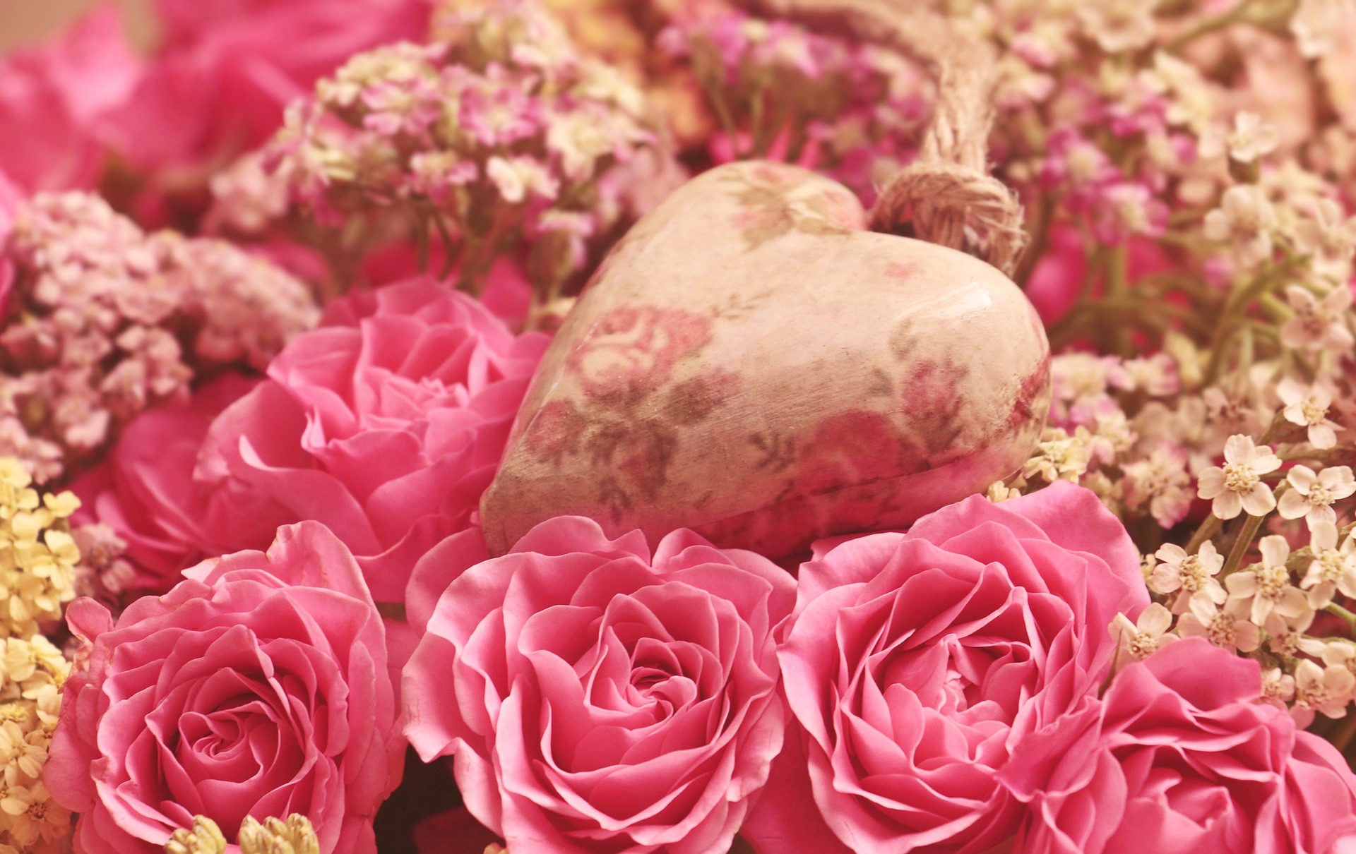 Flower viewing is one of the romantic things to do in Scottsdale you can enjoy.