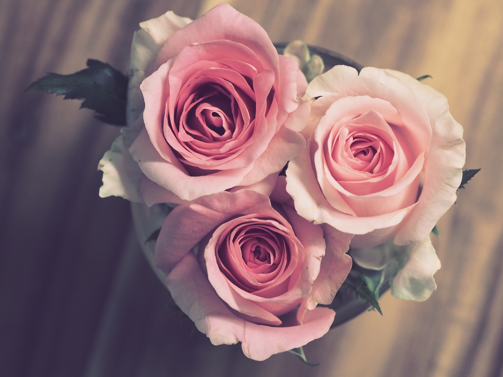 Boost the romance at the many Scottsdale attractions for couples near our rentals.