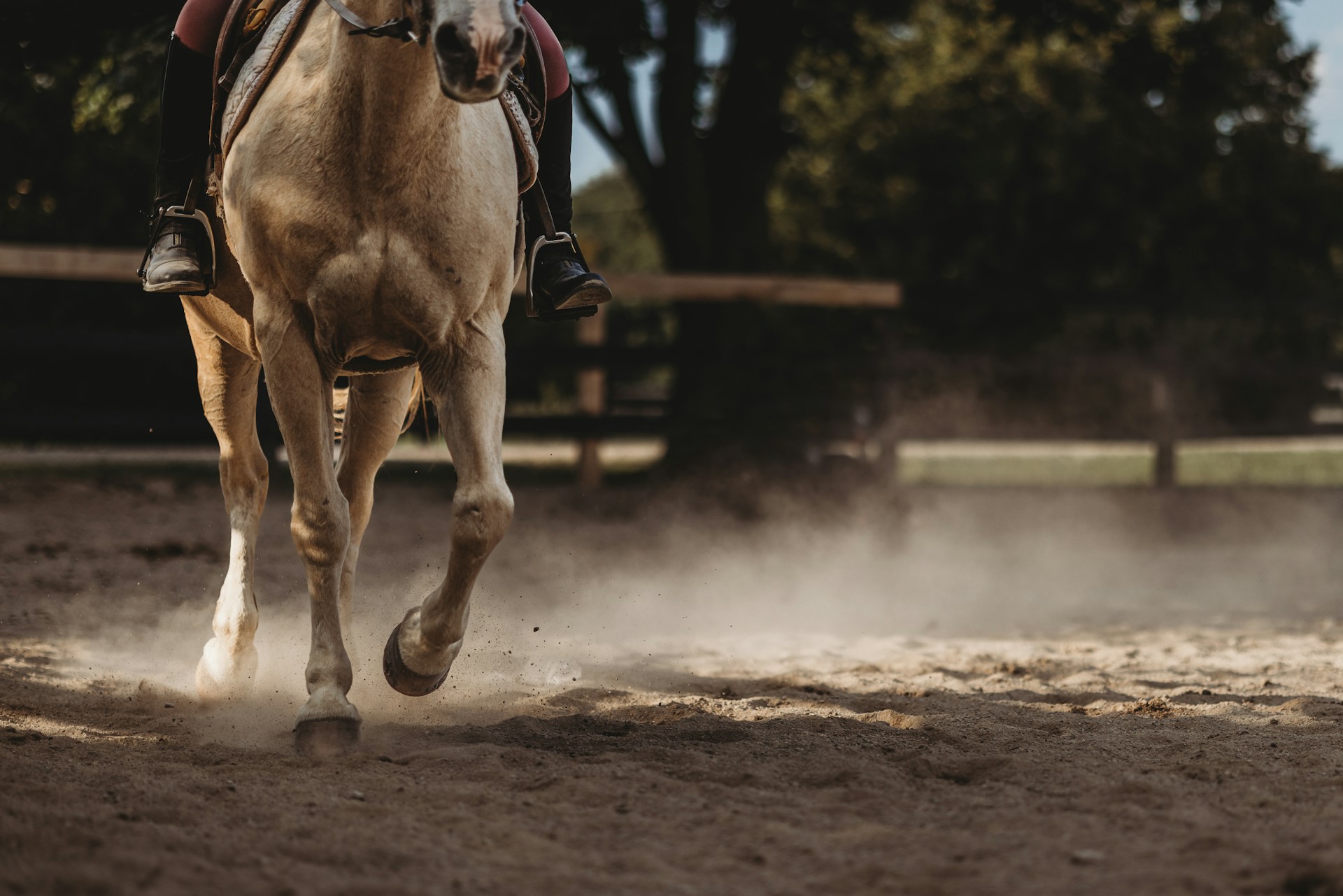 Scottsdale Horse Riding