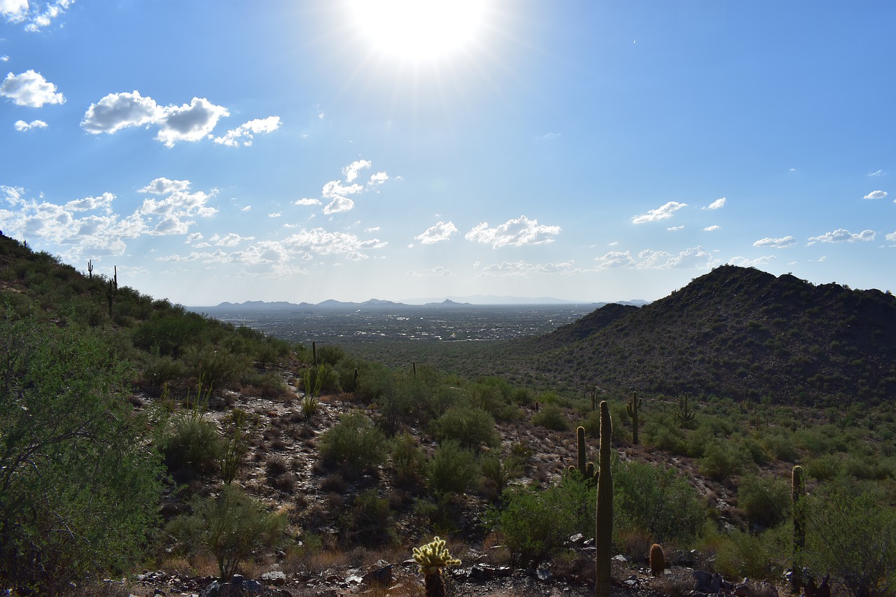 Views of the city from afar