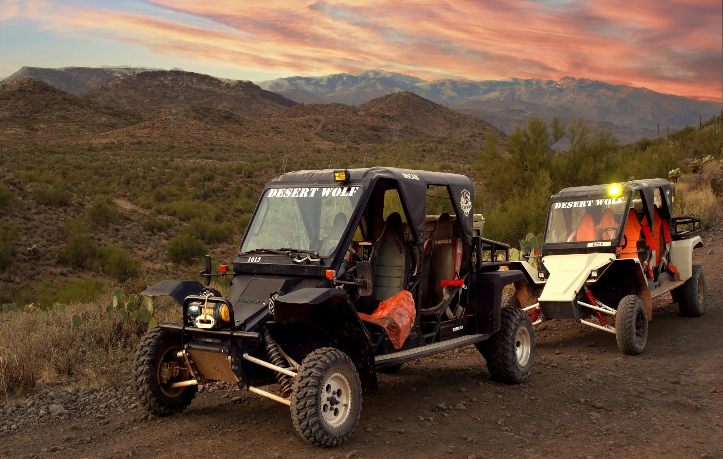 Scottsdale Tours