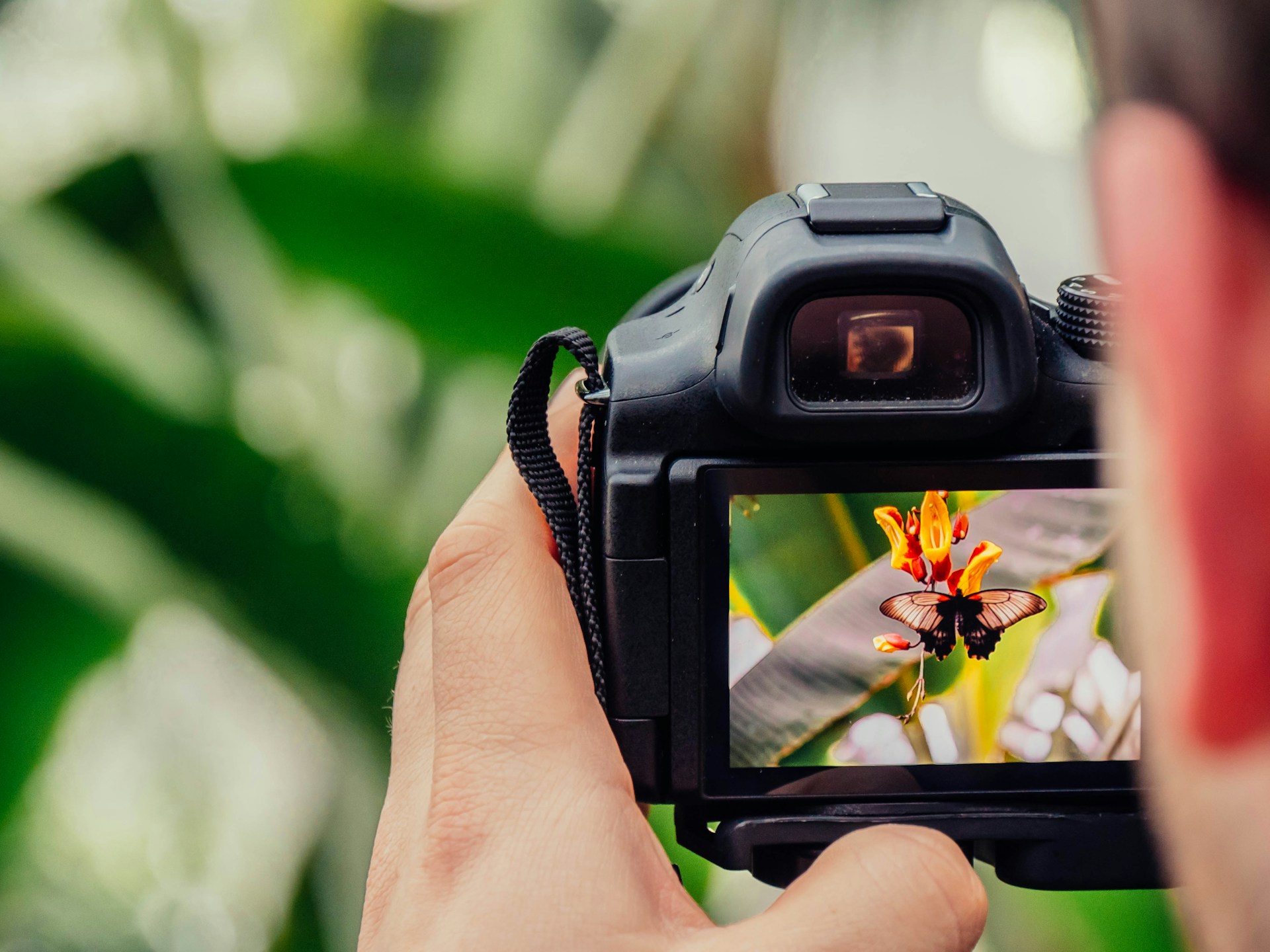 Scottsdale Photography Spots