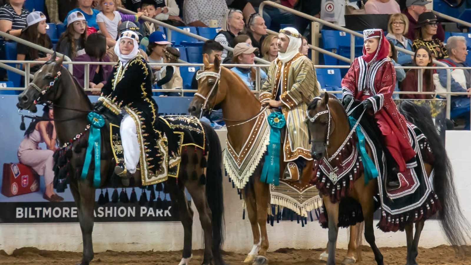 arabian horse show scottsdale
