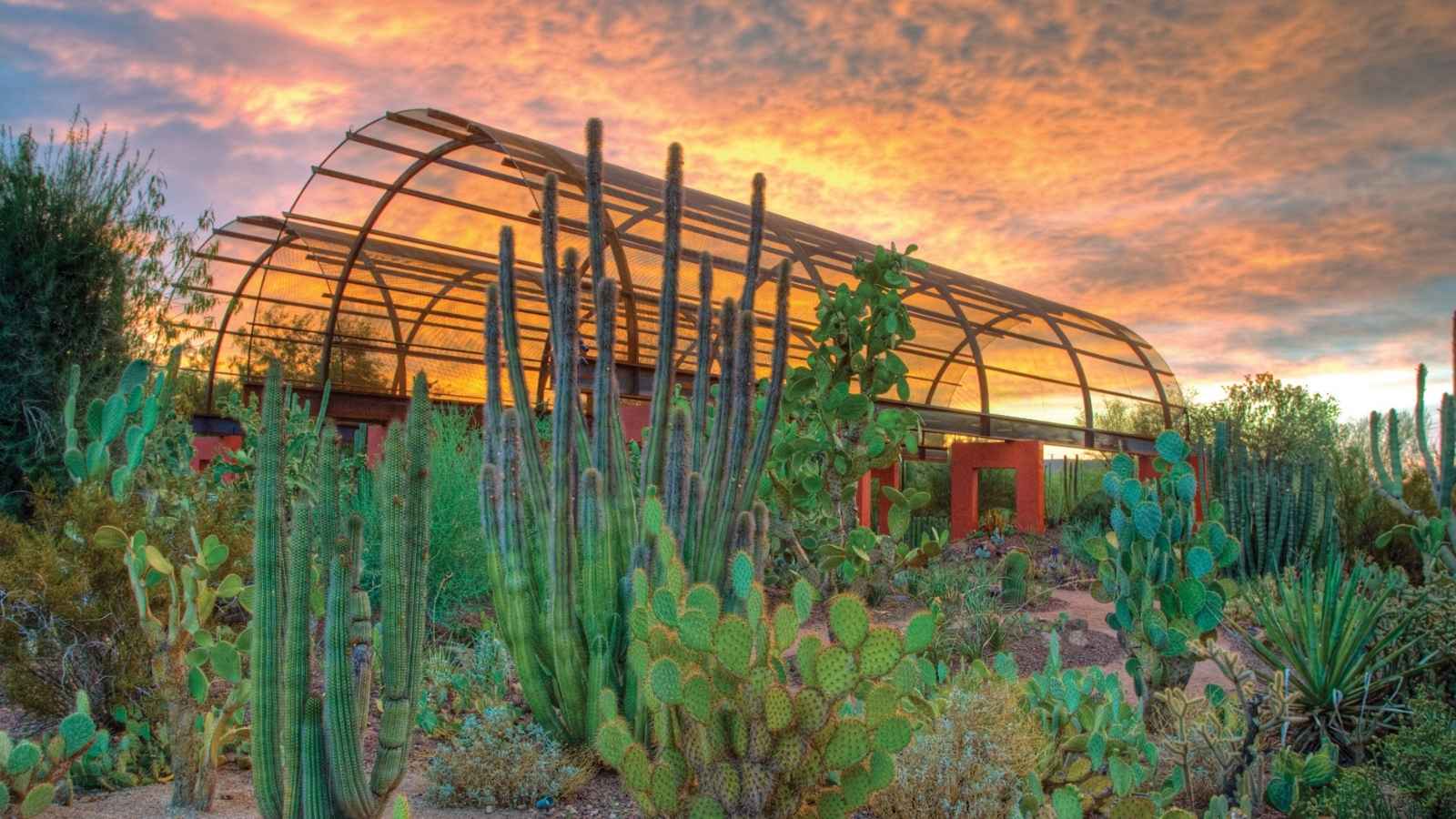 desert botanical garden