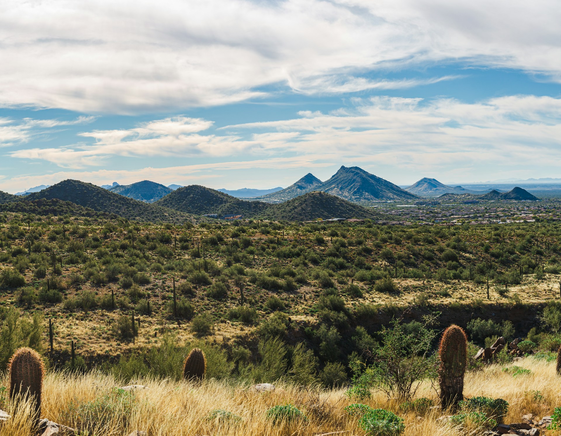 Scottsdale Outdoors
