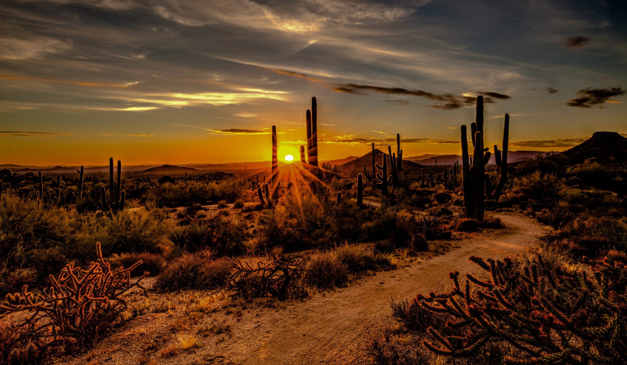 Scottsdale Journey
