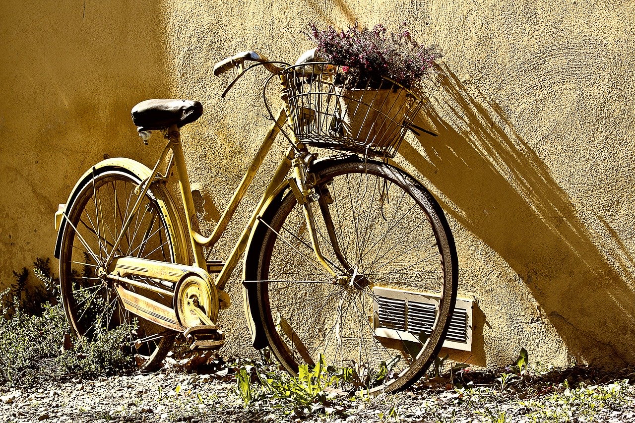 Scottsdale bike trails
