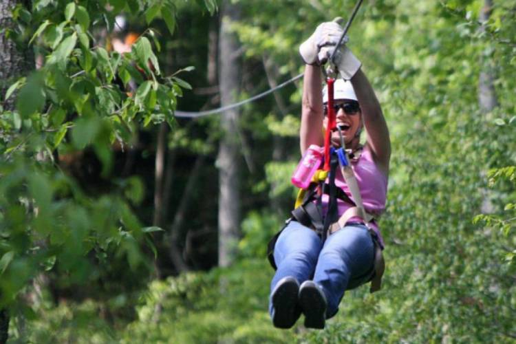 Thing To Do Zip Line Tours