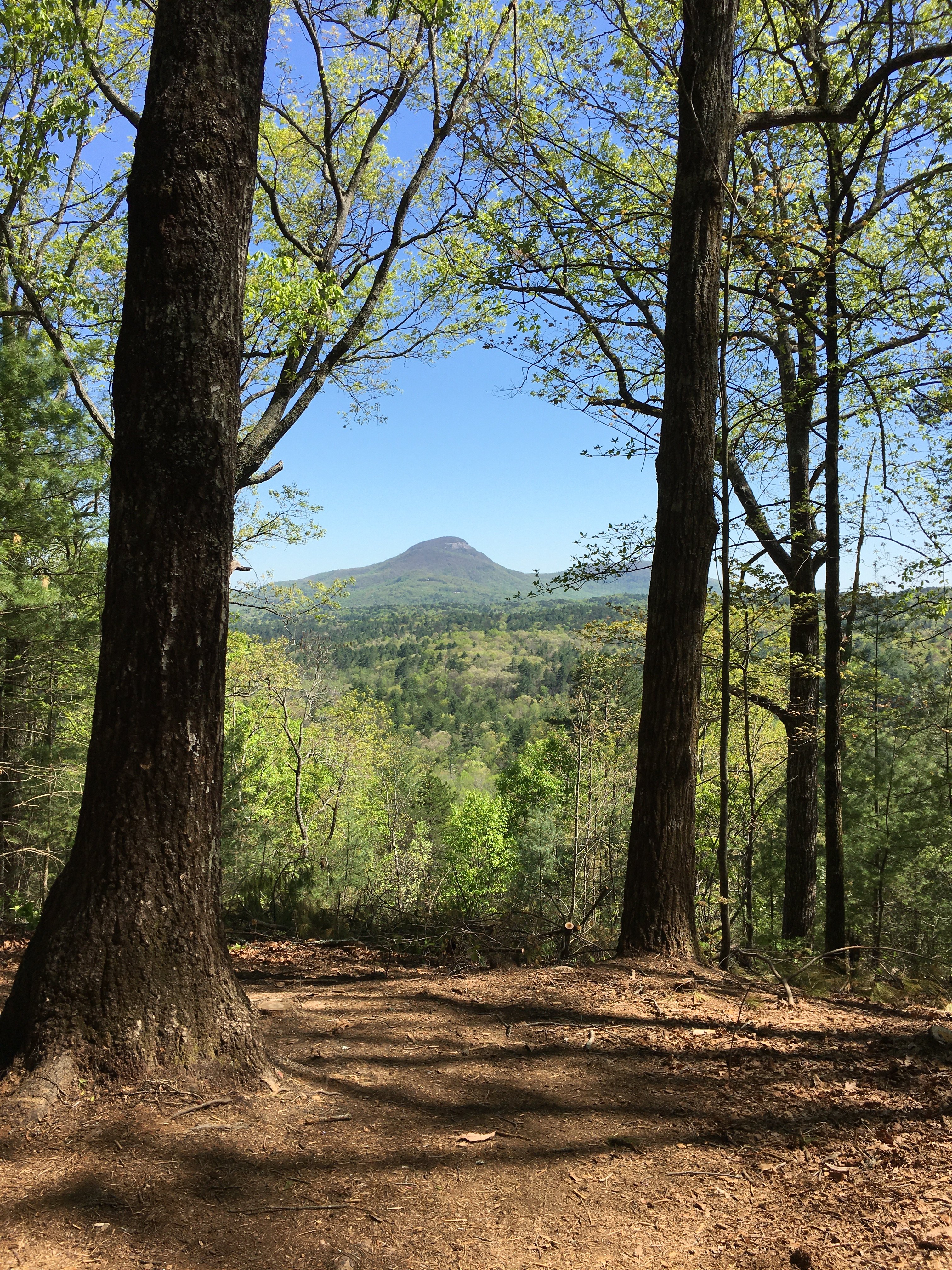Laurel Ridge Trail