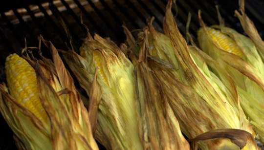 corn2