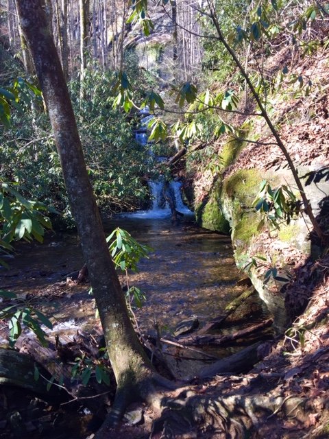 Views along the Raven Cliffs trail
