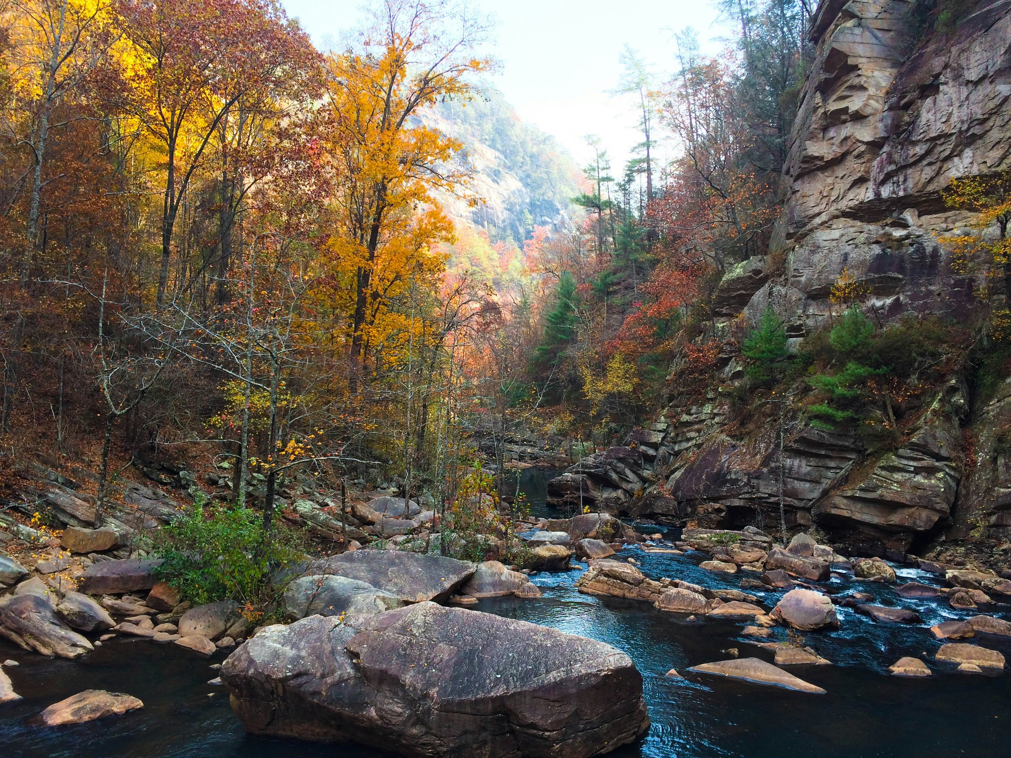 Rocky river gorge with autumn foliage, North Georgia
