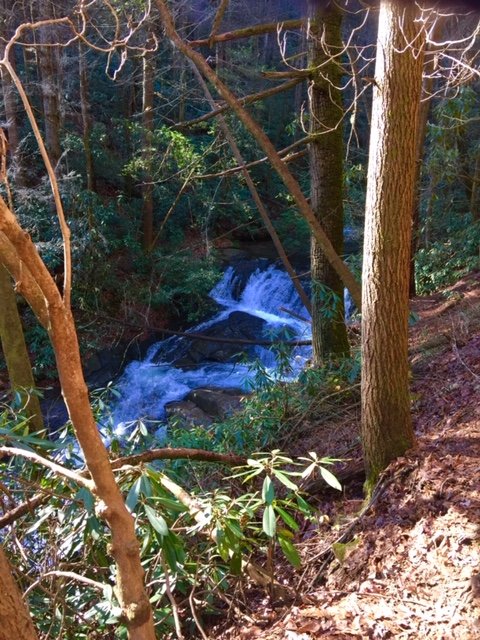 Hiking the Raven Cliffs trail