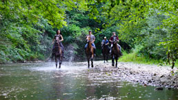 Thing To Do Horseback Riding