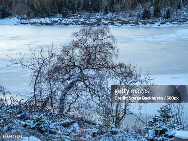 Winter Cold 2011 High-Res Stock Photo - Getty Images