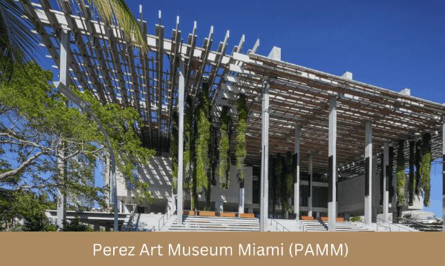 Perez Art Museum, Downtown Miami