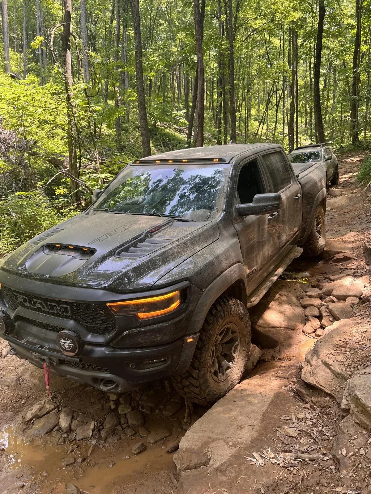 RAM TRX