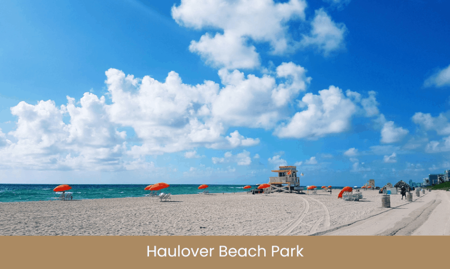 things to do in miami