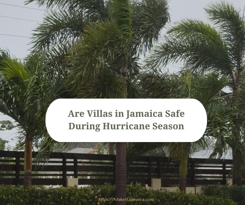Palms trees blowing in the wind during Hurricane Melissa at Mais Oui Villa in Jamaica