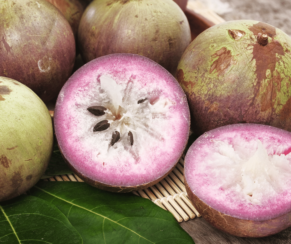 Star apple fruit in season in Jamaica for you to try on your Jamaica vacation with family